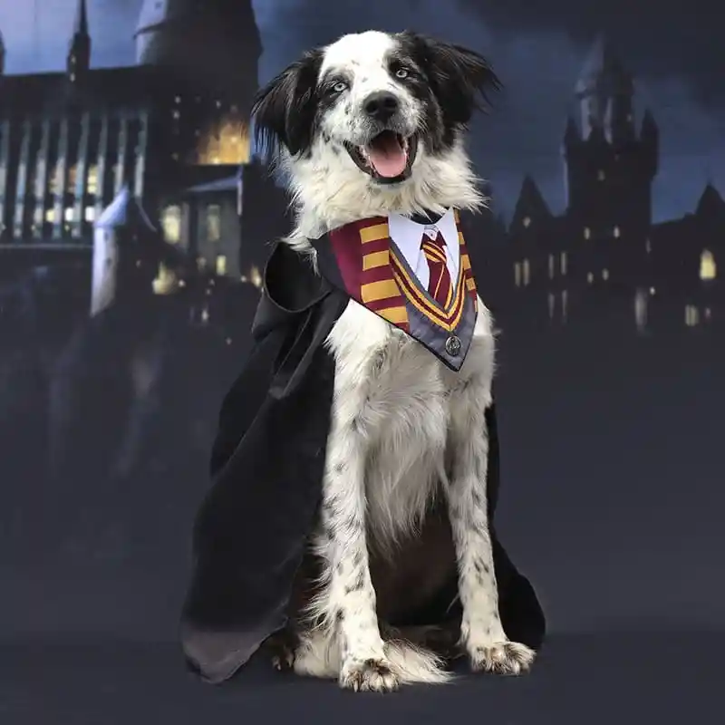 Disfraz Perro Garry Potter Talla M