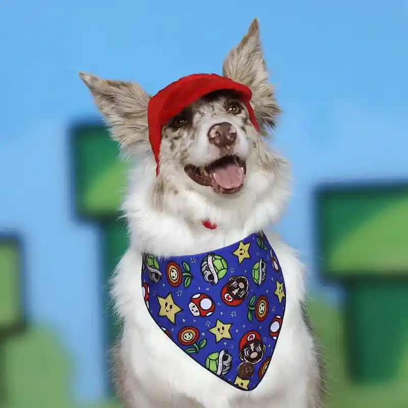 Disfraz Perro Plomero Xs