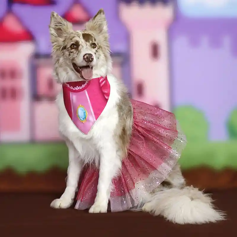 Disfraz Perro Princesa Pawch M