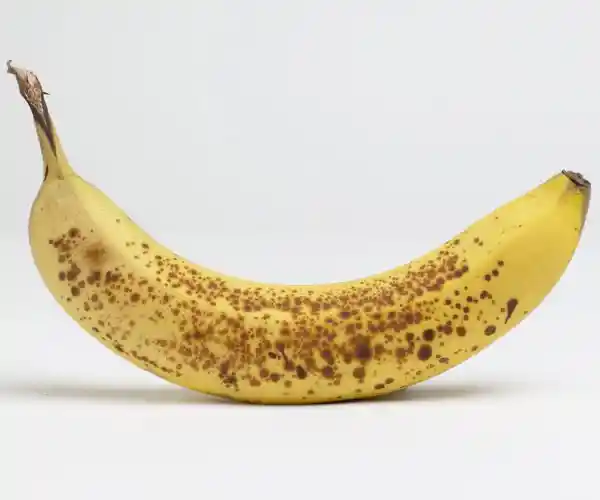 Banano Criollo