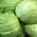 Lechuga Batavia