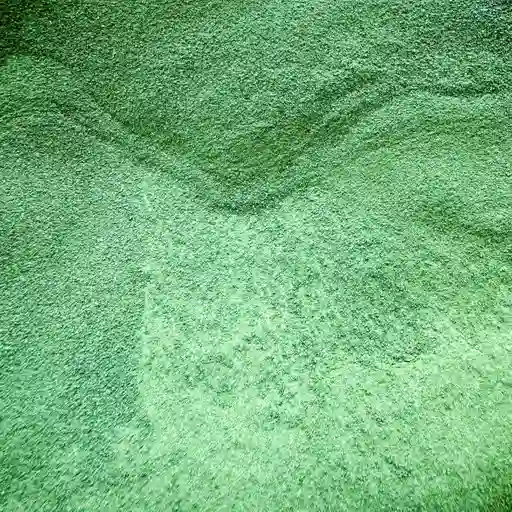 Espirulina X 100gr