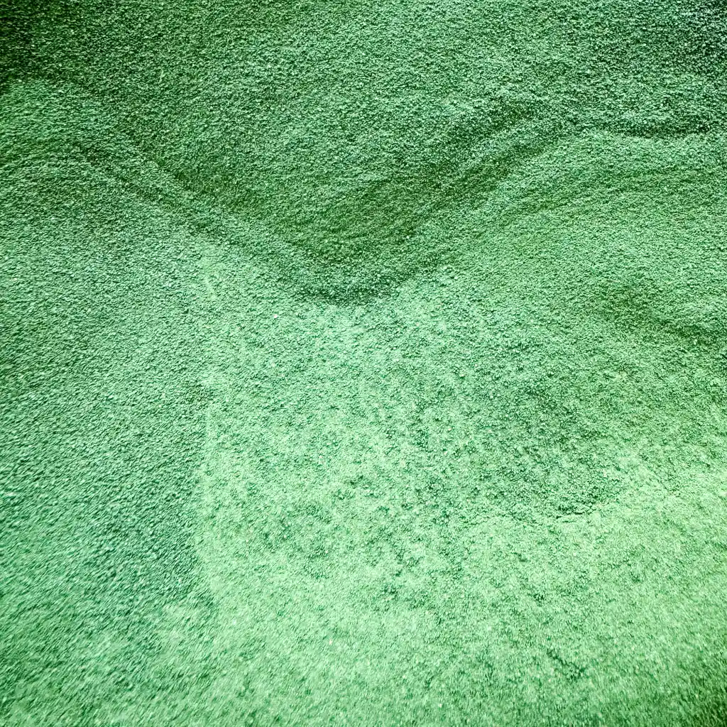 Espirulina X 100gr