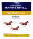 Papel Resma Hammermill Carta