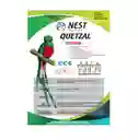 Nest Digital Tinta Eco Solvente Quetzal X 1 Litro Amarillo