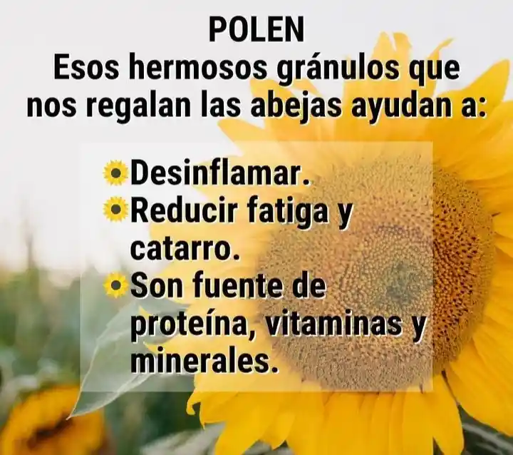 Polen 100% Natural X 1.000g