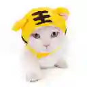 Gorro Halloween Tigre Para Mascota (s)