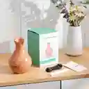 Humidificador Jarrón Led + Esencia Difusor De Aromas 7 Colores