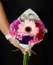 Bouquet Inicio De Amor