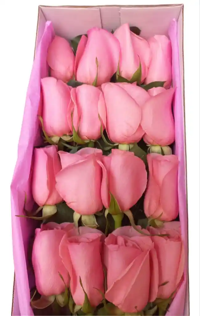 Caja De Rosas Rosadas Amor