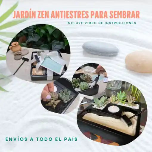 Jardín Zen Anti-estrés Para Sembrar