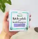 Kit De Cuidado Para Suculentas Pequeñas