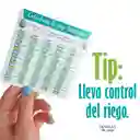 Kit De Cuidado Para Suculentas Pequeñas