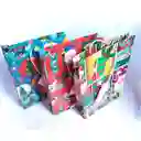 Bolsa Regalo Navidad Mediana Economica 25x16x6cm Colores Surtidos