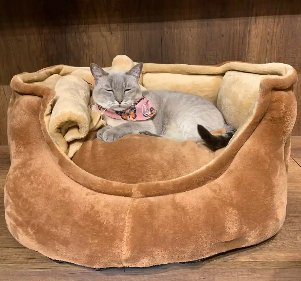 Cama Para Mascotas Cloe M