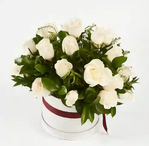 Caja De Rosas Blanca Pureza