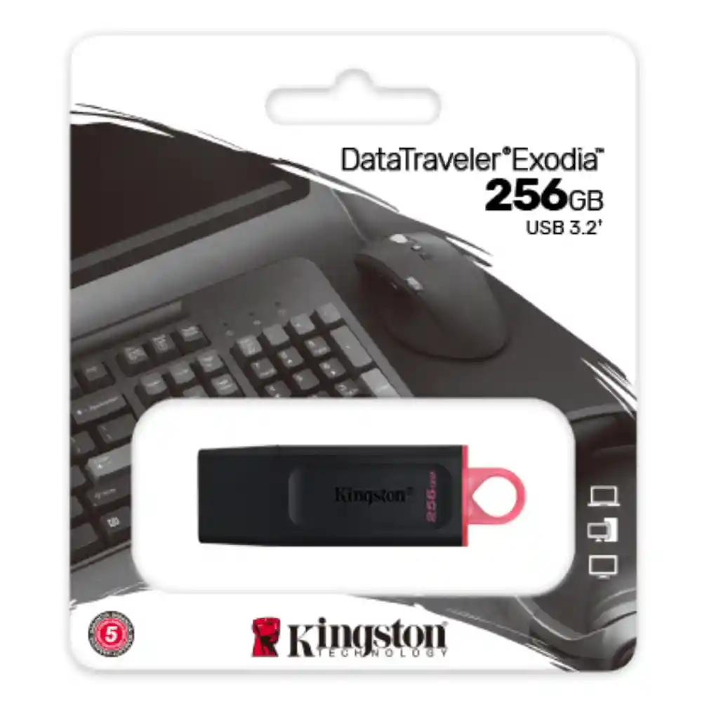 Memoria Usb 3.2 De Alta Velocidad Kingston Datatraveler Dtx/256gb