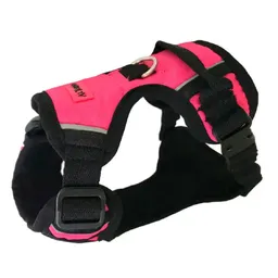 Arnes En Lona Fucsia Cu:22-35-pe:33-43cm Talla. Xs