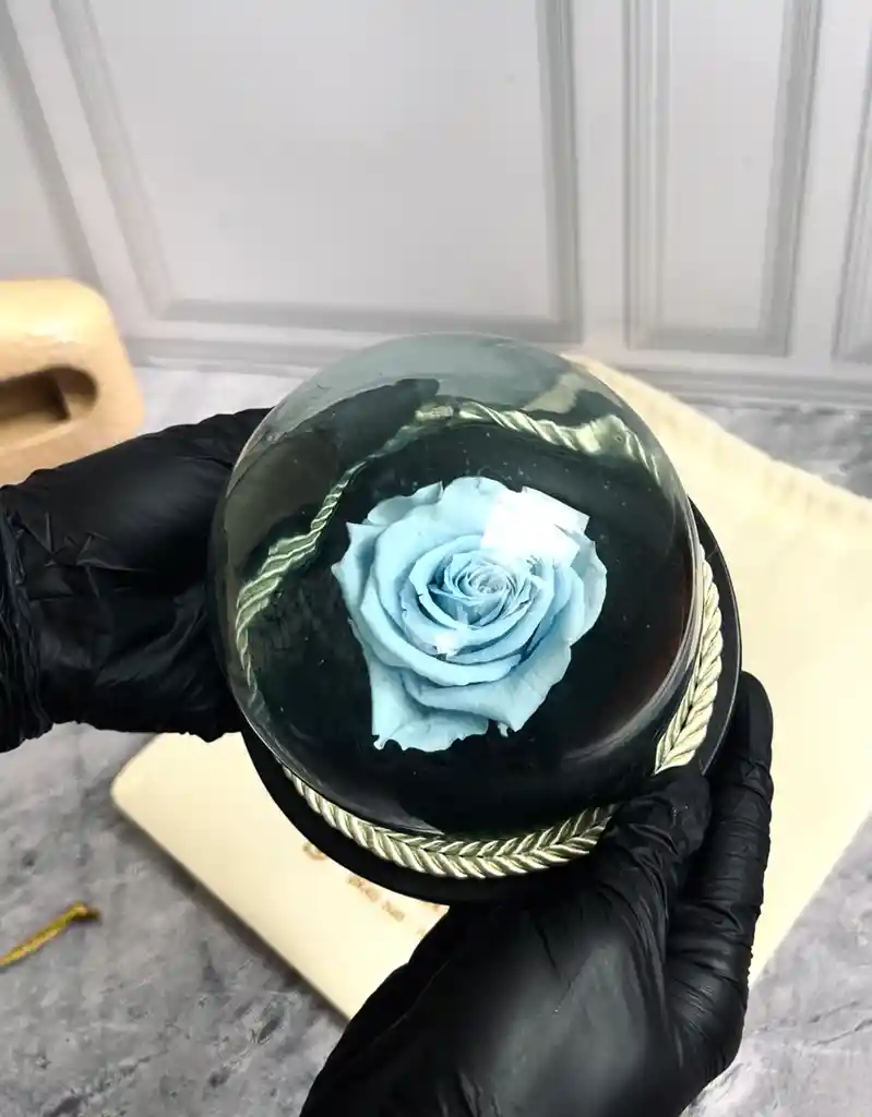 Rosa Encantada