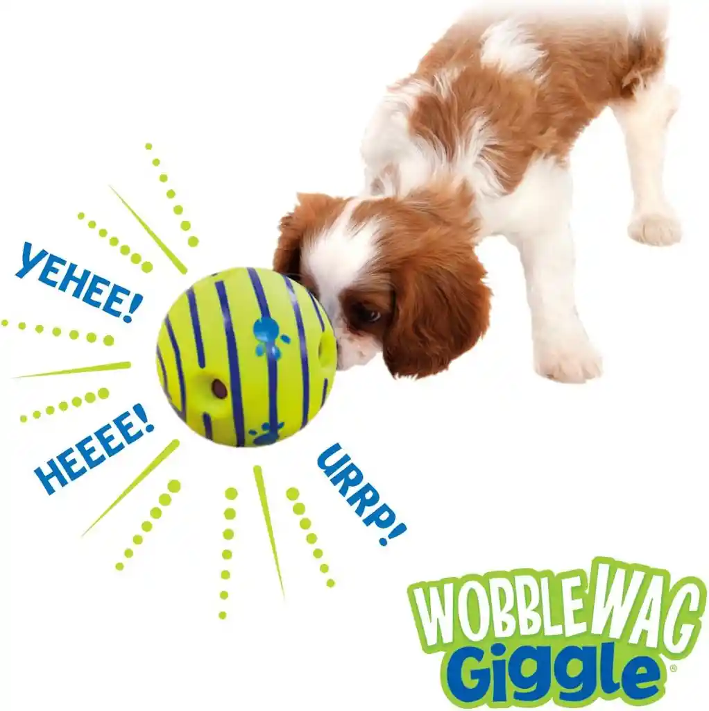 Pelota Interactiva Sonido