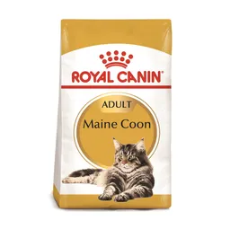 Royal Canin Gato Maine Coon Adulto X 4 Kg