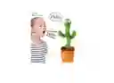 Cactus Bailarín Repite Lo Que Dices, Juguete De Peluche Electrónico Con Iluminación, Grabación De Cactus Cantante Y Repite Tus Palabras Para Juguetes Educativos