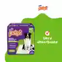 Tapetes Para Perro Absorbentes Petys Extra Grueso X 12 Uds