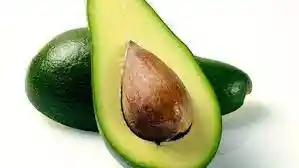 Aguacate Criollo