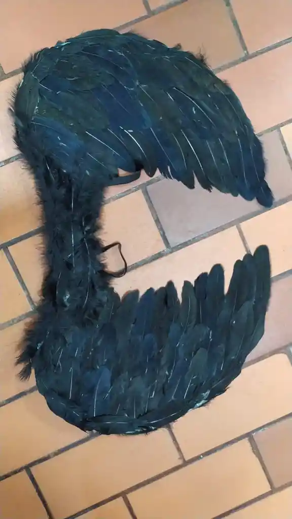 Alas Grande De Angel Negro