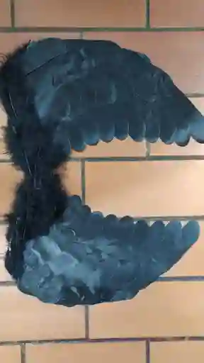 Alas Pequeña De Angel Negro