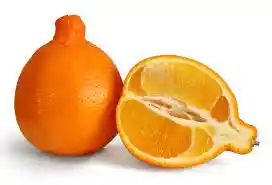 Naranja Tangelo