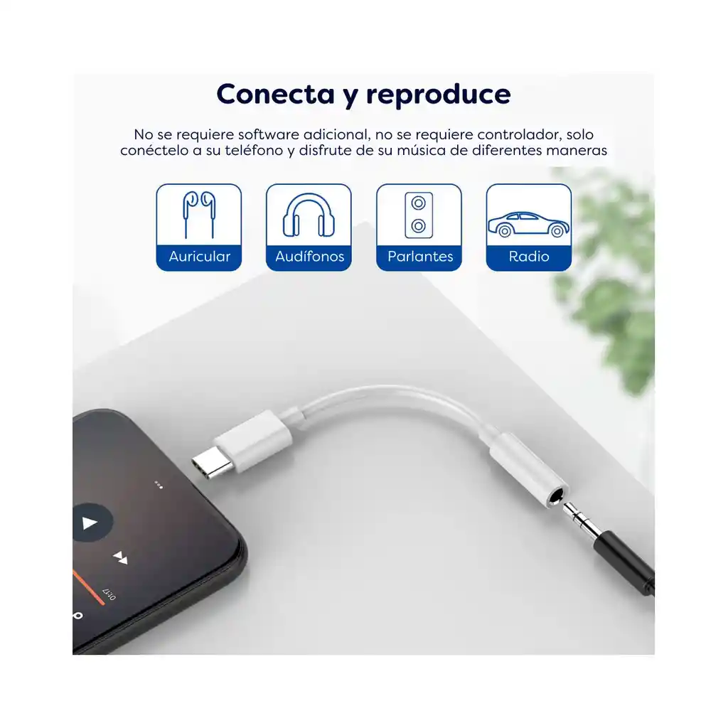 Convertidor Cable Tipo C A Plug Hembra