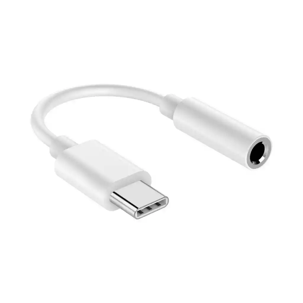 Convertidor Cable Tipo C A Plug Hembra