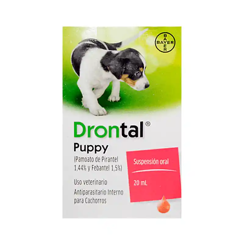 Drontal Puppy