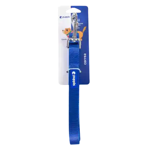 Leash Basic Nylon Blue Xs 1.0*200