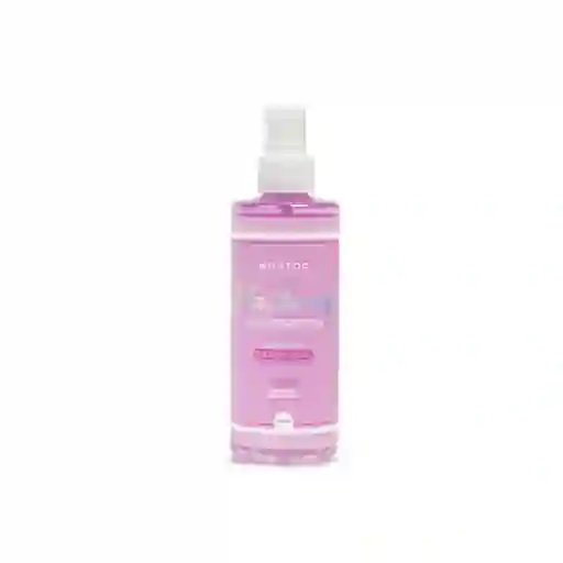 Desinfectante De Brochas En Seco Masterly Montoc 250 Ml