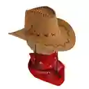 Sombrero Vaquero Beige Con Pañoleta