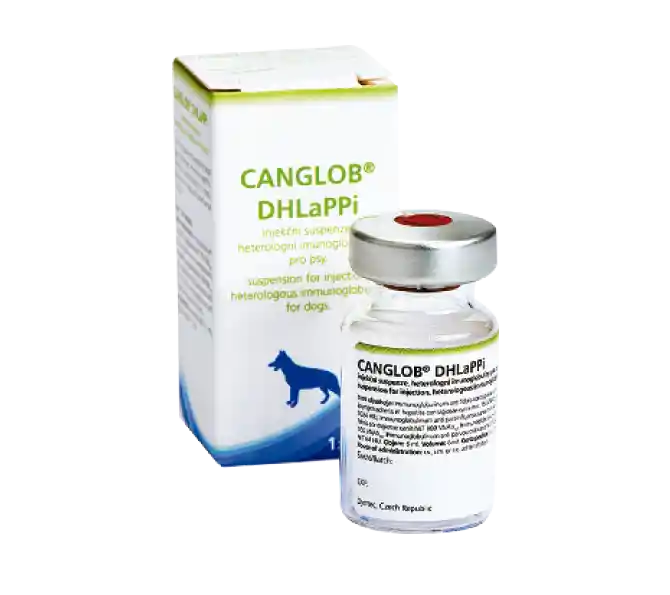 Canglob Dhlappi Vial X 6 Ml