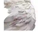 Disfraz Angel Blanco Alas 60cm + Aureola Adulto Mujer Halloween Fiesta Sexy