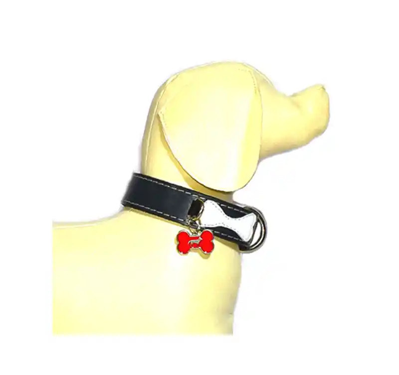 Dalmatas - Collar Placa Colgante Cuero Talla Xs