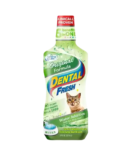 Dental Fresh Enjuague Bucal Gatos 8 Onzas