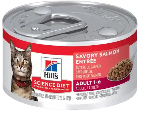 Hills Science Diet Feline Salmon 5,5 Onzas