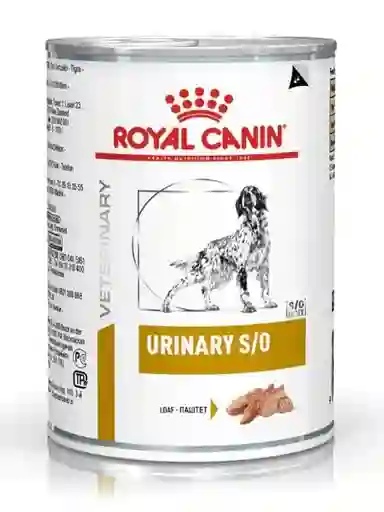 Royal Canin Lata Urinary Dog X 385 Gr
