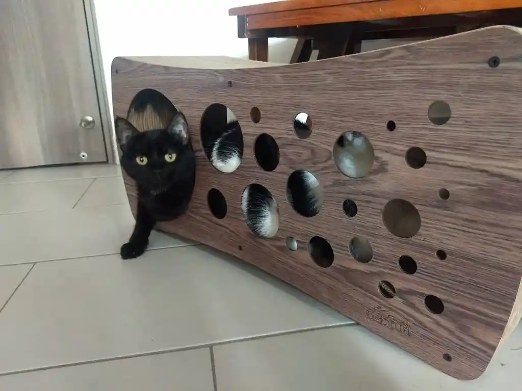 Rascador Para Gato Infinito Cueva Rascadores Para Gatos Gimnasio Para Gatos