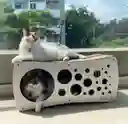 Rascador Para Gato Infinito Cueva Rascadores Para Gatos Gimnasio Para Gatos