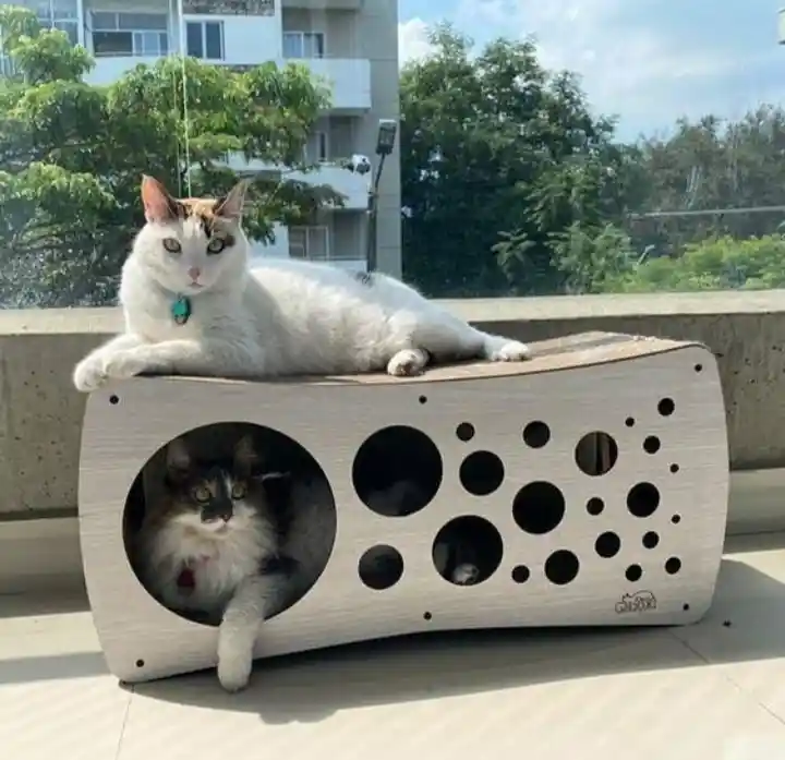 Rascador Para Gato Infinito Cueva Rascadores Para Gatos Gimnasio Para Gatos