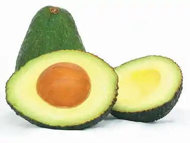 Aguacate Ingerto