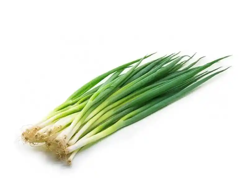 Cebolla De Rama