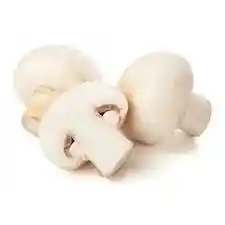 Champiñon Blanco