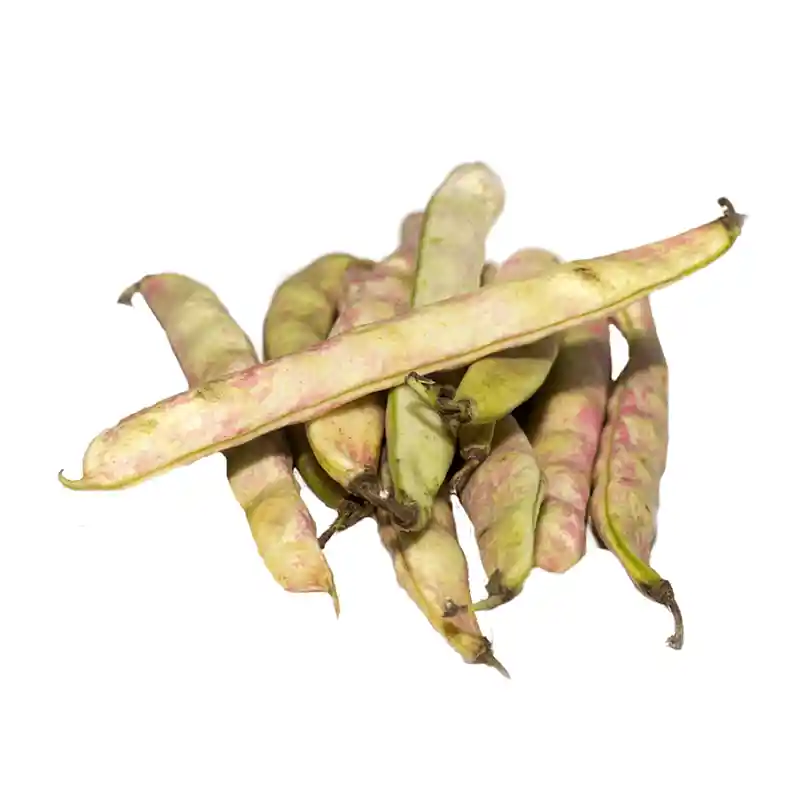 Frijol Verde